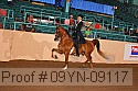 09yn-09117 proof