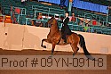 09yn-09118 proof