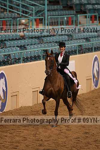 Proof 09yn-09134