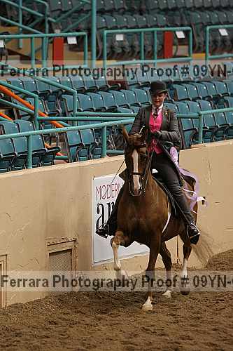 Proof 09yn-09140