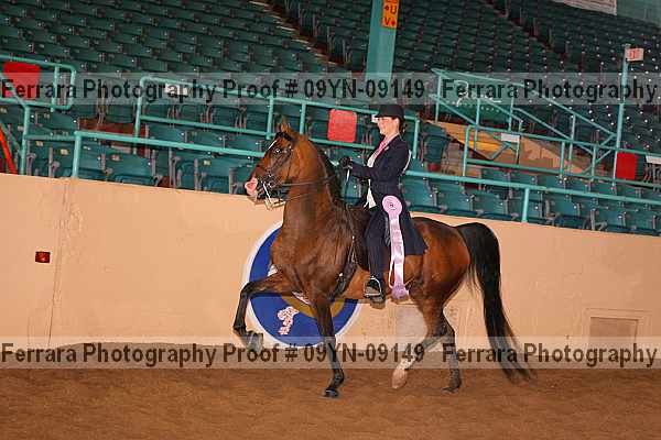 Proof 09yn-09149