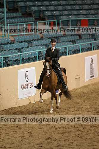 Proof 09yn-09150