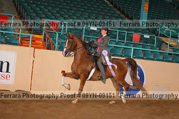 Proof 09yn-09151