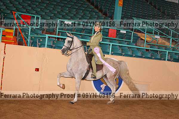 Proof 09yn-09156