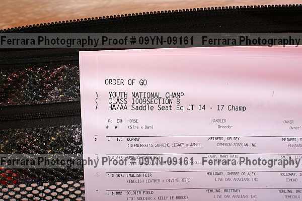 Proof 09yn-09161