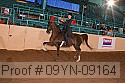 09yn-09164 proof