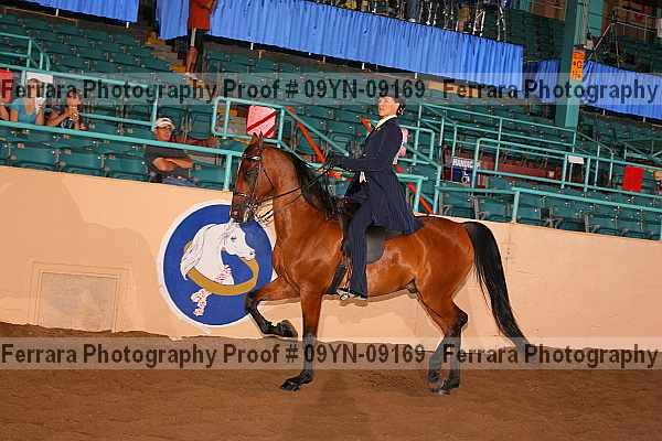 Proof 09yn-09169