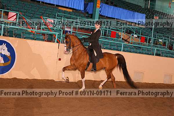 Proof 09yn-09171