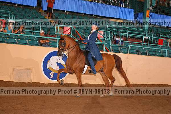 Proof 09yn-09173