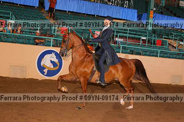 Proof 09yn-09174