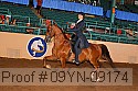 09yn-09174 proof