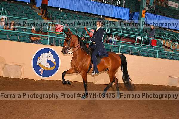 Proof 09yn-09175
