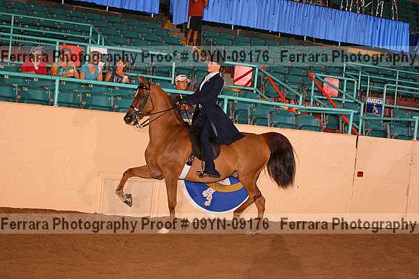 Proof 09yn-09176