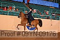09yn-09176 proof