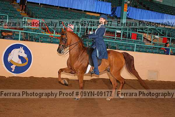 Proof 09yn-09177