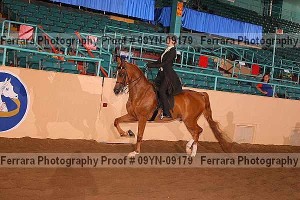 Proof 09yn-09179