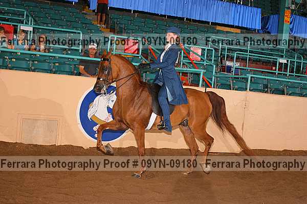 Proof 09yn-09180
