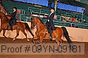 09yn-09181 proof