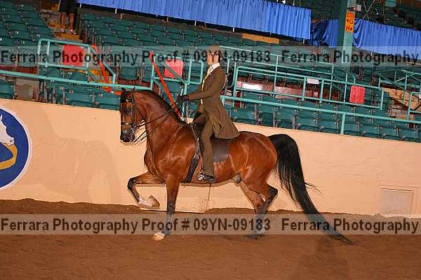 Proof 09yn-09183