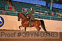 09yn-09183 proof