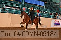 09yn-09184 proof