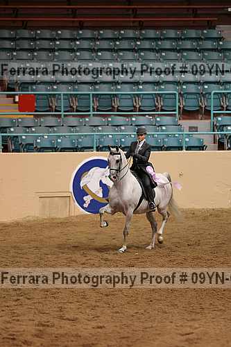 Proof 09yn-09185
