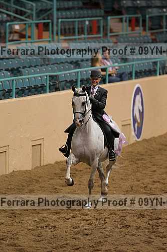 Proof 09yn-09187
