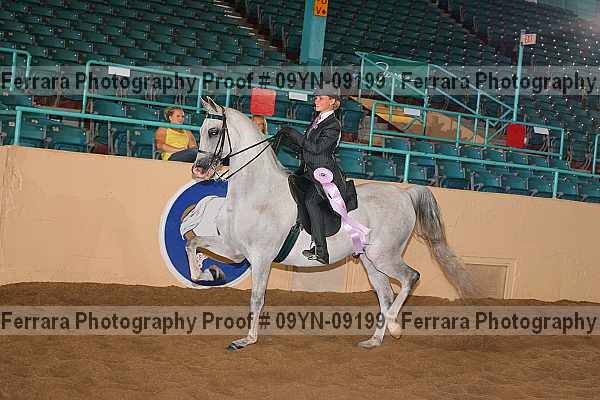 Proof 09yn-09199