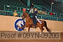 09yn-09200 proof