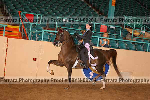 Proof 09yn-09204