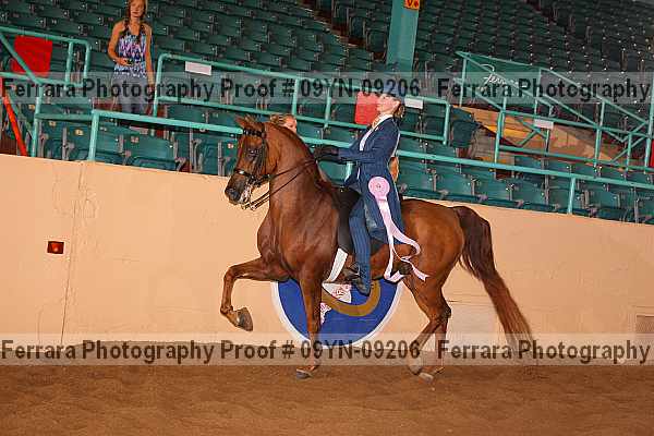 Proof 09yn-09206