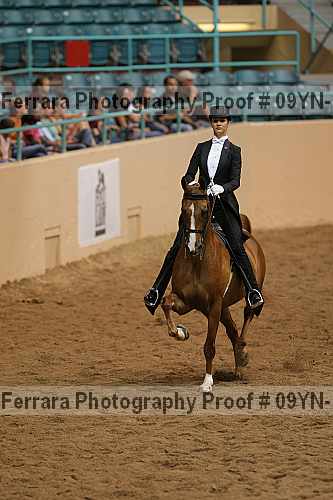 Proof 09yn-19079