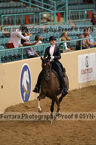 Proof 09yn-19080