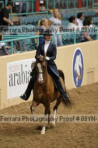 Proof 09yn-19082
