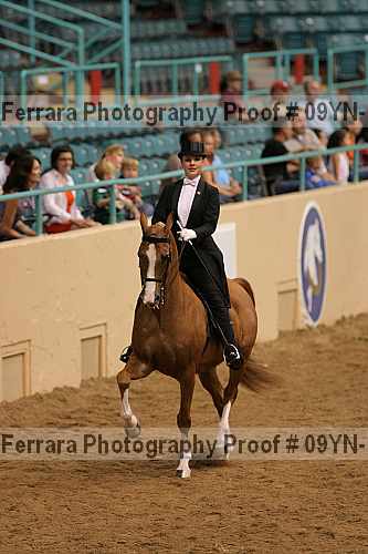 Proof 09yn-19083