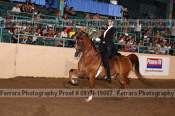 Proof 09yn-19087