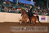 09yn-19087 proof