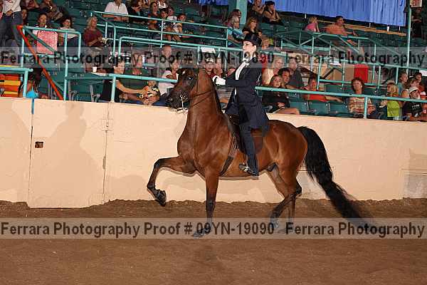 Proof 09yn-19090