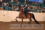 09yn-19090 proof