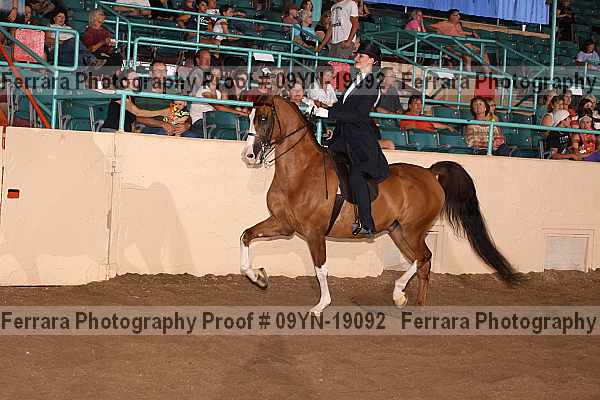 Proof 09yn-19092