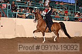 09yn-19092 proof