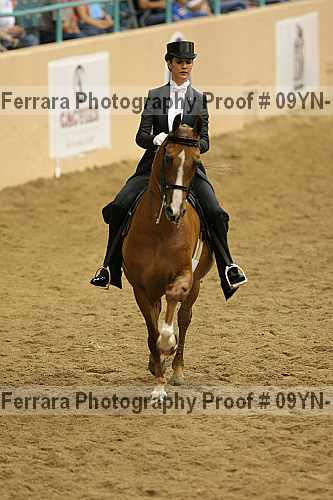 Proof 09yn-19093