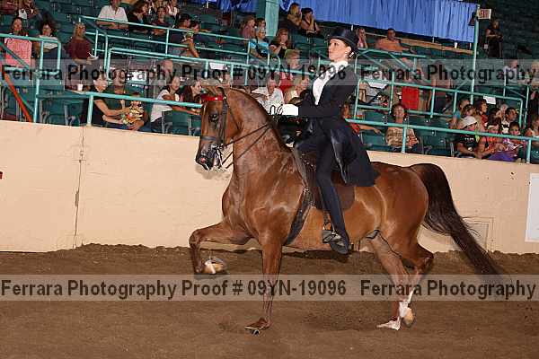 Proof 09yn-19096