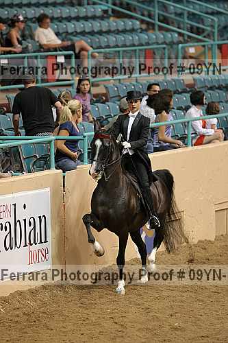 Proof 09yn-19097