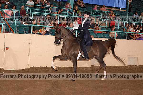 Proof 09yn-19098