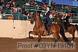 09yn-19101 proof