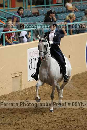 Proof 09yn-19102