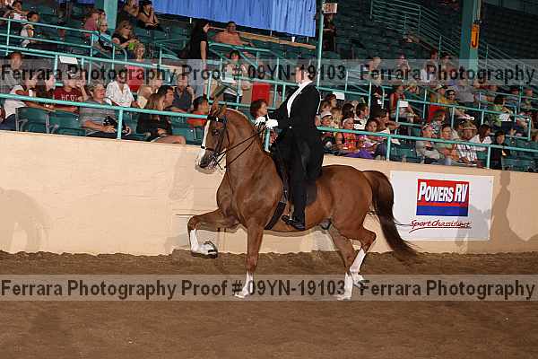 Proof 09yn-19103