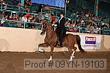 09yn-19103 proof