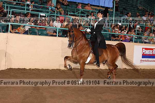 Proof 09yn-19104